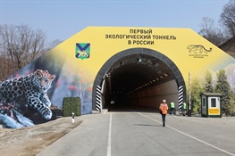  The following statement was released today by Dale Miquelle, Director of the WCS Russia Program on the opening of the first wildlife tunnel in Russia